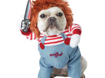 dog pet costume blue overalls, striped shirt, and orange wig, deadly doll chucky.