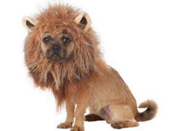 Fuzzy lion maine headpiece for dogs or other pets.