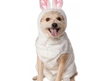 white bunny suit with hood and ears for dogs or other pets.