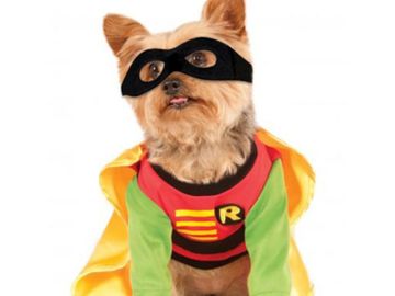 Perfect side kick Robin costume for dogs or other pets, shirt with logo, yellow cape, and black mask