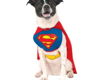 Superman costume for dogs or other pets, red cape, and bib with Superman logo on chest.