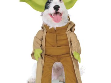 Star Wars Yoda costume for dogs or other pets.