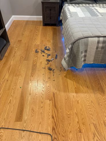 Dusting underneath hidden areas such as beds and furniture #1. Bye bye dust bunnies