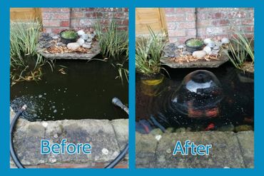 A garden pond before and after cleaning with clear water and a bubbling fountain.