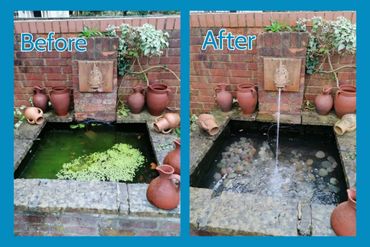 Before and after cleaning a garden pond with a water fountain feature.