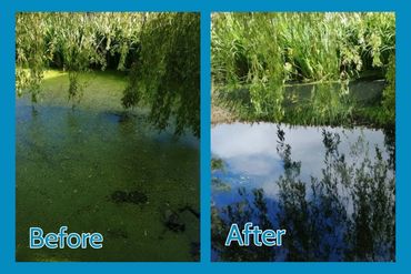 Before and after images showing a pond cleaned from algae and debris.