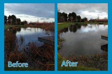 Before and after photos of a cleaned pond with clearer water and trimmed vegetation.