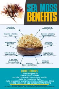 Sea Moss Benefits