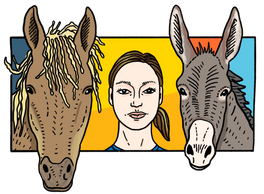 REINS equine assisted therapy covid scholarship