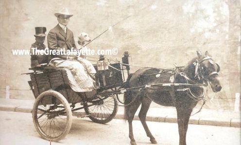 A Rare Cabinet Photo of The Great Lafayette & His Beloved Dog Beauty