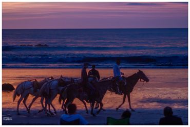 Sunset Horseback riding