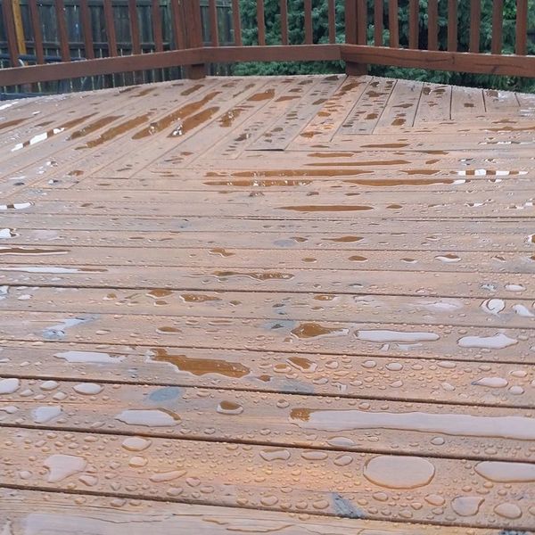stained deck after the rainfall beading up on the stained wood