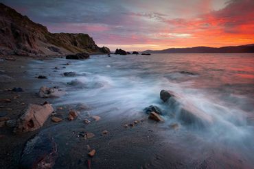 Wellington, New Zealand