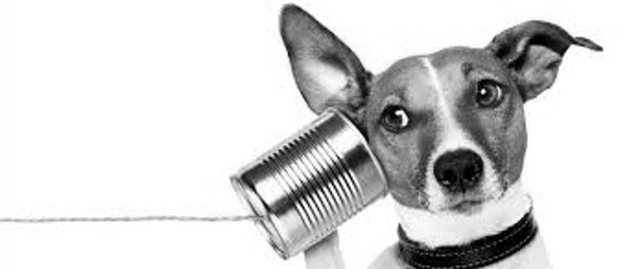 Dog listening to a tin can phone.