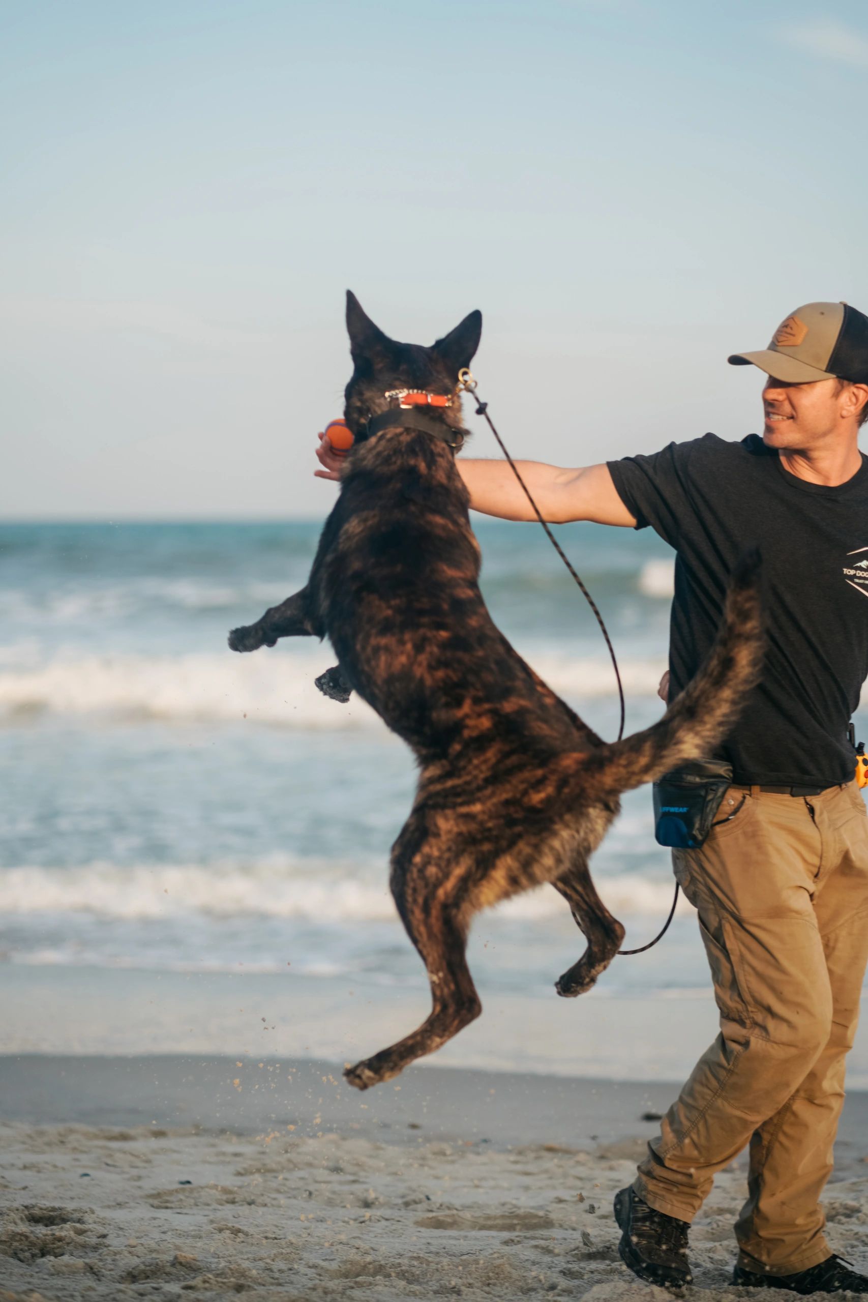 Man playing fetch with a jumping dog on the beach.