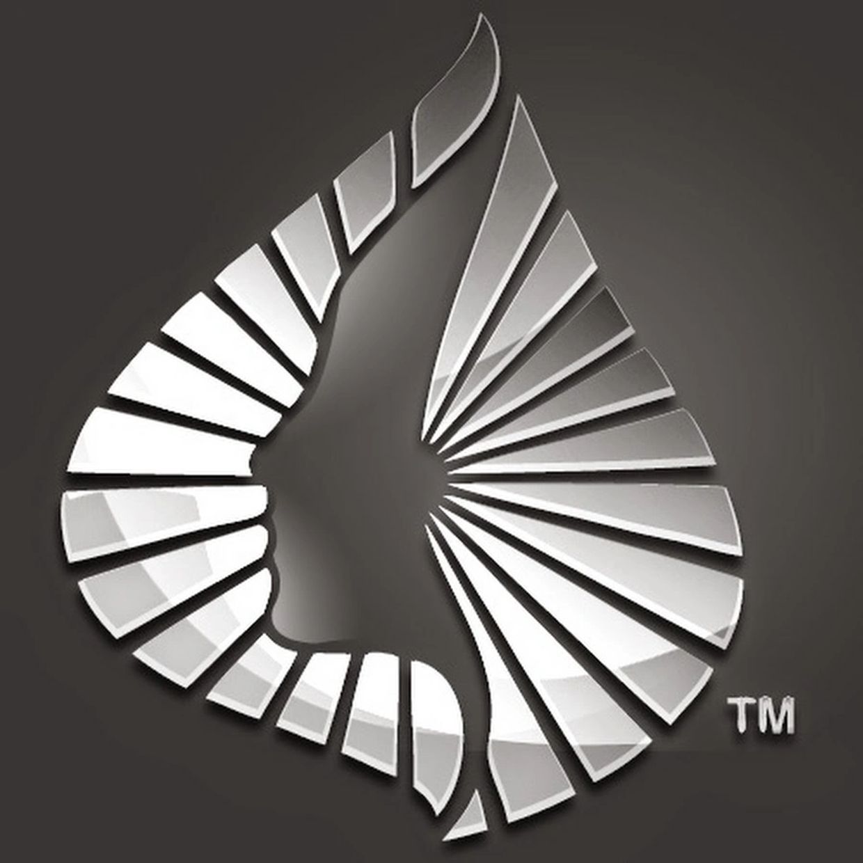 Modern abstract logo with reflective silver design.
