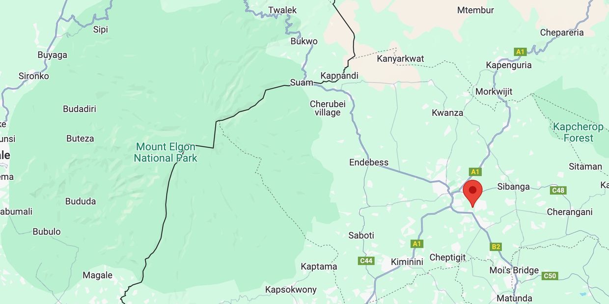 Bingwa Coffee is single origin Kenya AA