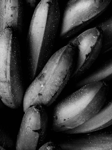 Bananaplant