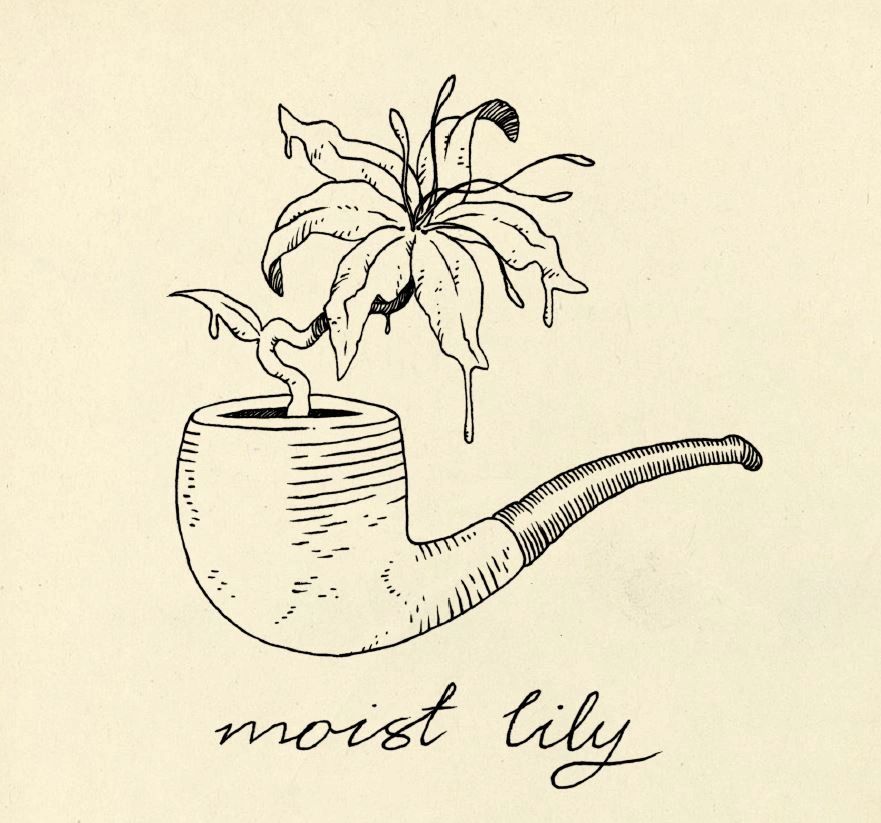 Moist Lily podcast cover image