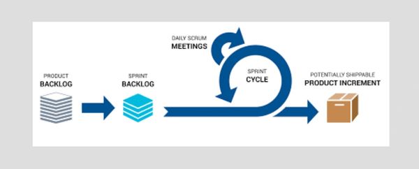 Agile Project Management