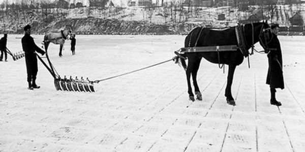 Ice Harvesting on Sodus Bay