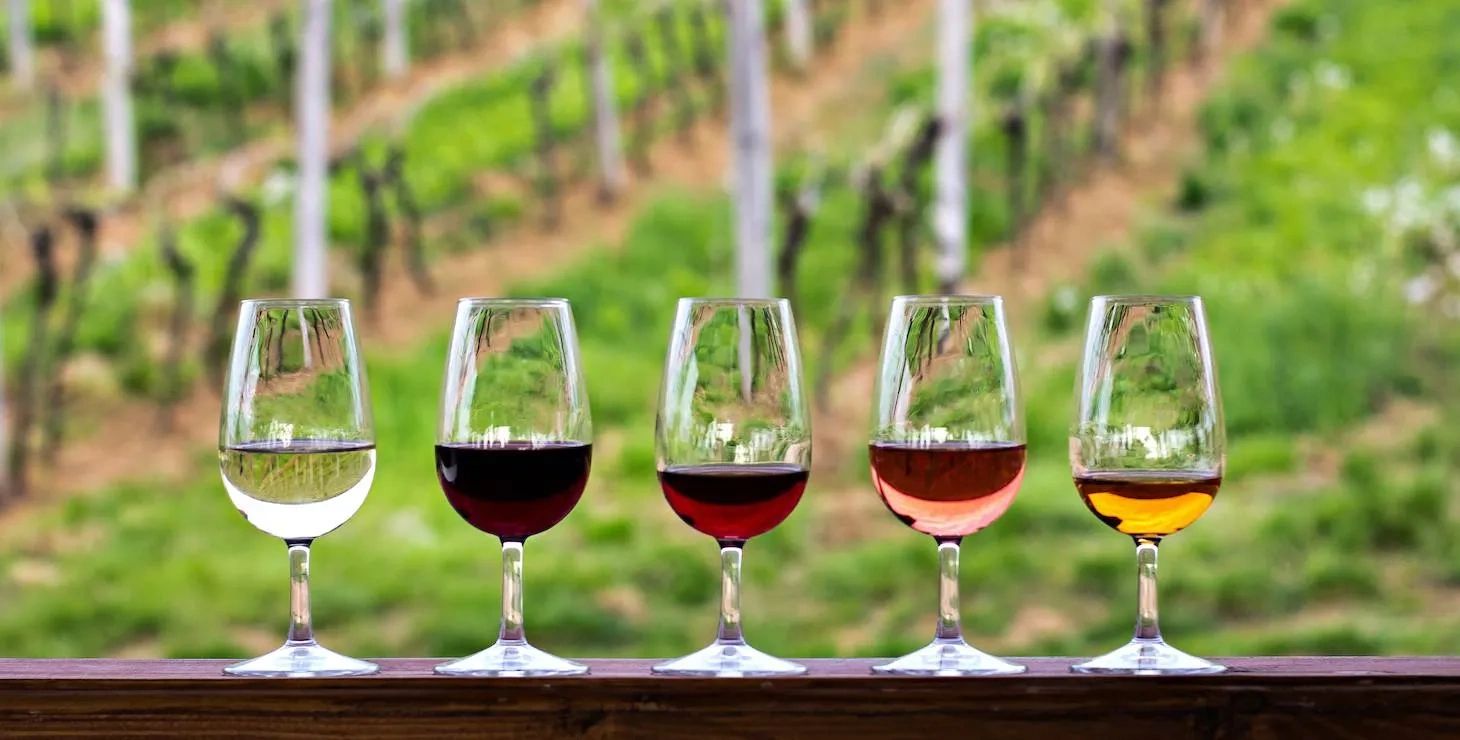 Wine Trails