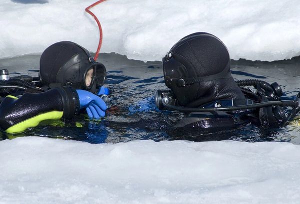 Deux plongeurs dans l'eau, prêts à effectuer une plongée sous glace.