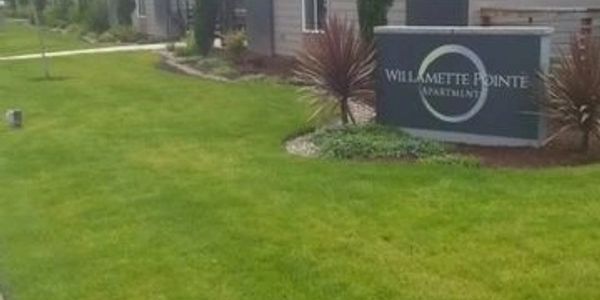 Apartment complex sign for Willamette Pointe with green lawn and plants.