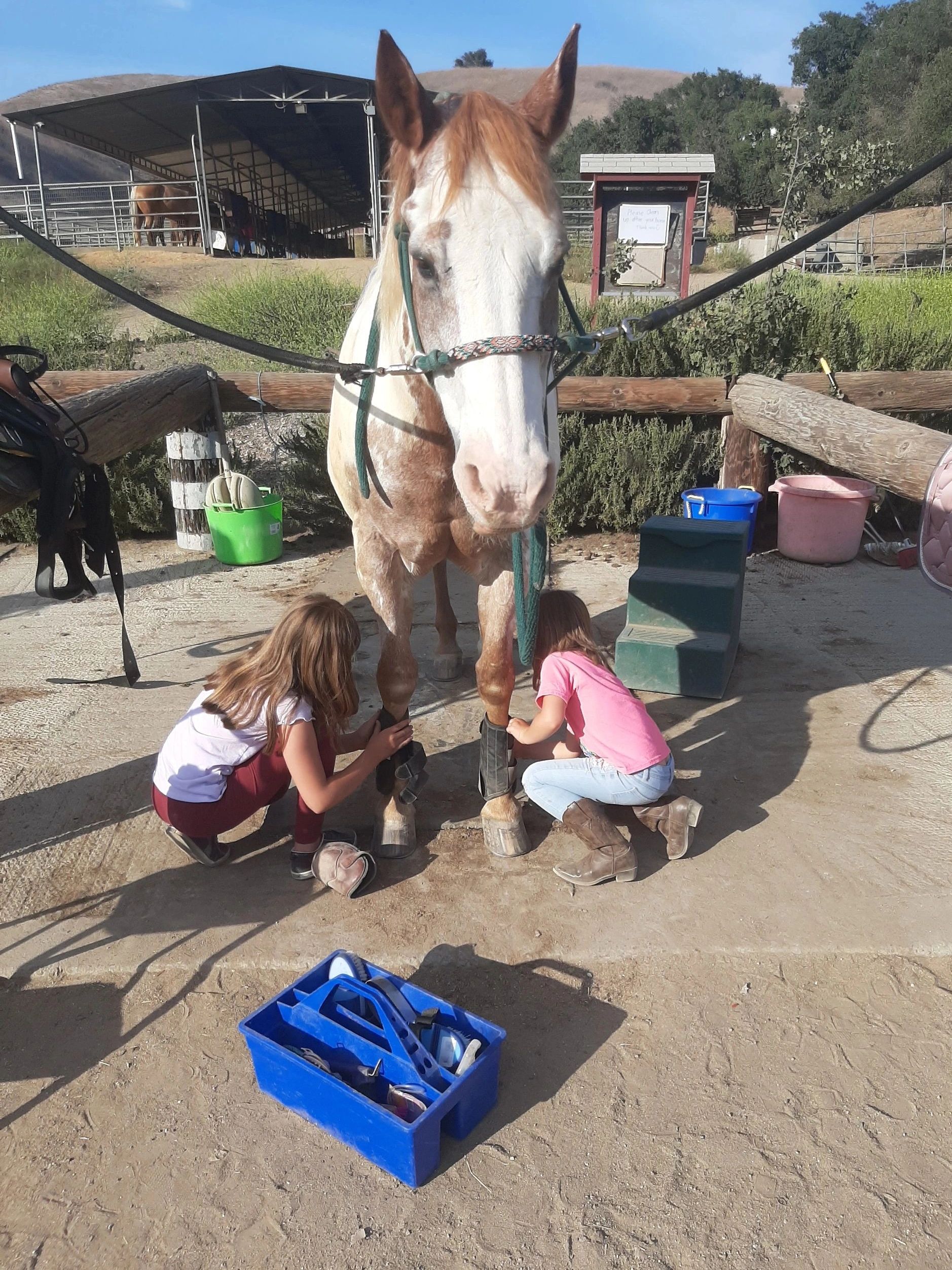 Buy a $35 gift card for a child, or a $60 gift card for an adult