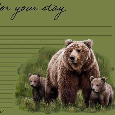 Illustration of a mother bear with two cubs on a green note background.