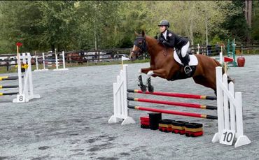 horse jumping