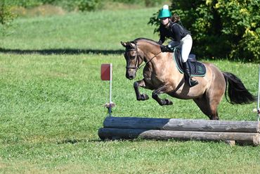 Rally - cross country jumping