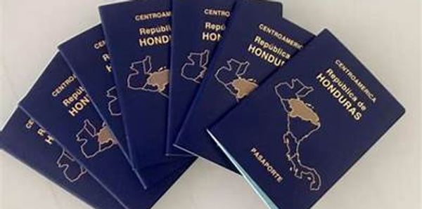 A fan of Honduran passports arranged in a semi-circle.