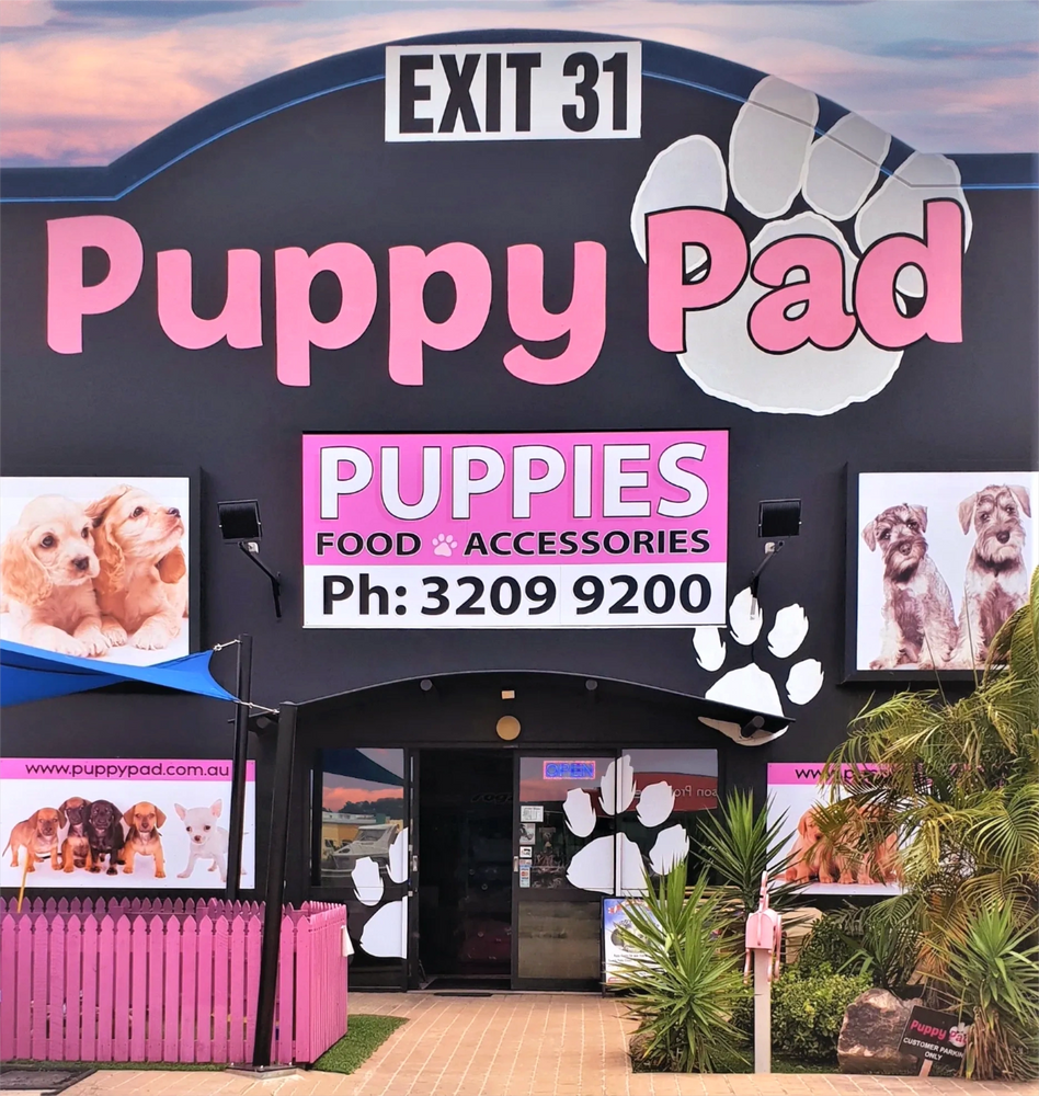 Puppies for sale Brisbane. Shop entrance.
Puppy Pad