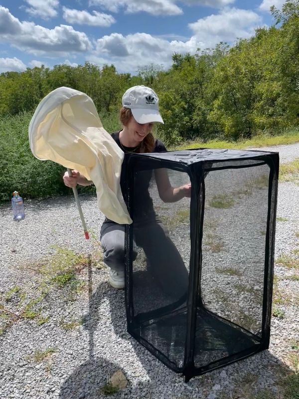 A person outdoors with a butterfly net and a large insect cage.