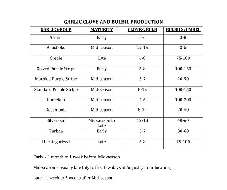 Garlic clove and bulbil production table.