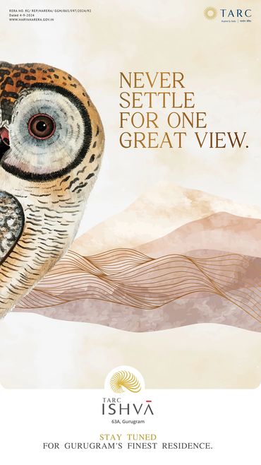 Artistic owl with a message on great views and a Gurugram residence ad.