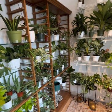 plant room at fay cafe Sedona
