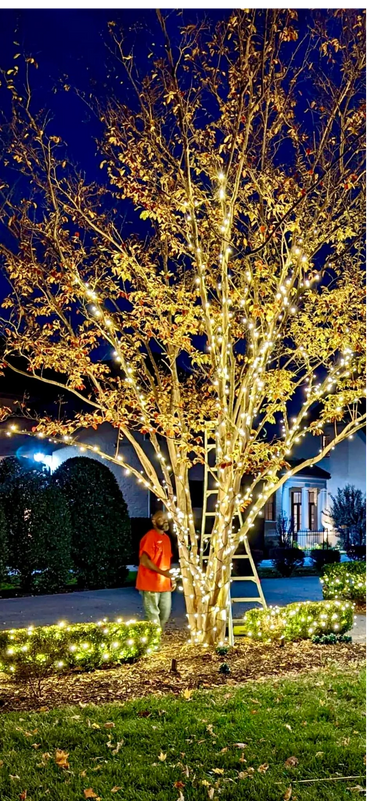 Man decorates a tree with white string lights at night.