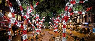 Trees decorated with red and white lights along a city street at night.