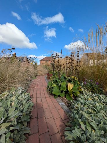 A brick pathway winds through a garden with green and brown plants under a bright blue sky.