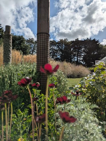 A garden scene with red flowers, tall poles, and a cloudy sky.