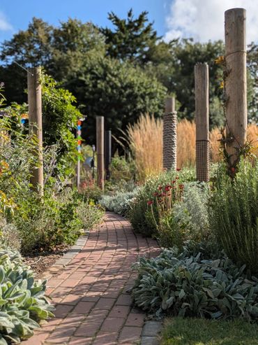 A serene garden pathway lined with lush plants and wooden posts under a blue sky.