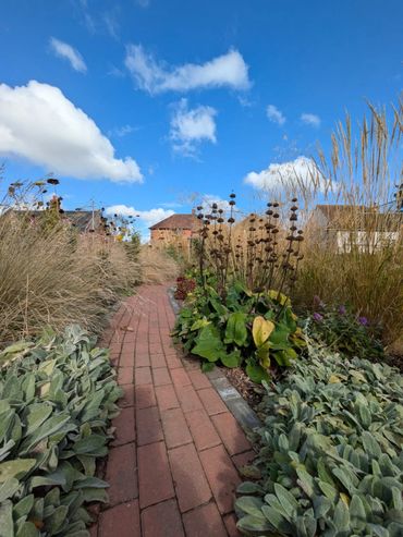 A brick pathway winds through lush garden plants under a bright blue sky.