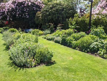Well-maintained garden beds with blooming flowers and lush greenery.