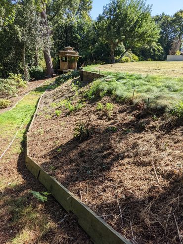 A garden path with a wooden gazebo and sloped planting area.