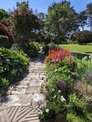Stone pathway lined with colorful flowers and greenery in a sunlit garden.