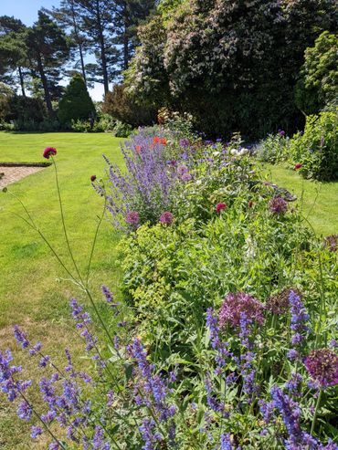 Colorful flower bed with purple, white, and red blooms in a sunny garden.