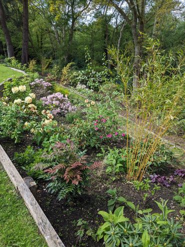 A vibrant garden bed with colorful flowers and lush greenery under tall trees.