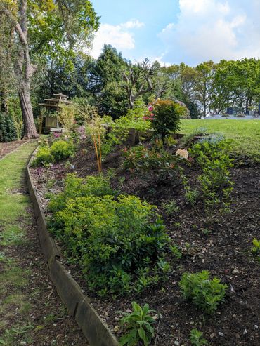 A lush garden bed with various plants under a blue sky.